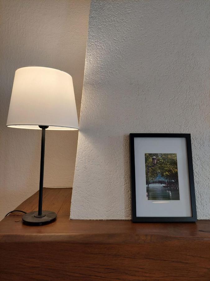 Le Vintage - Appartement En Plein Coeur De La Vieille Ville Annecy Luaran gambar